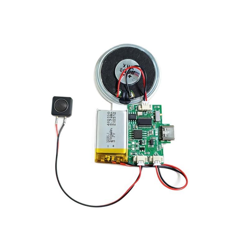 Audio Music To Download - Module audio sans fil rechargeable avec